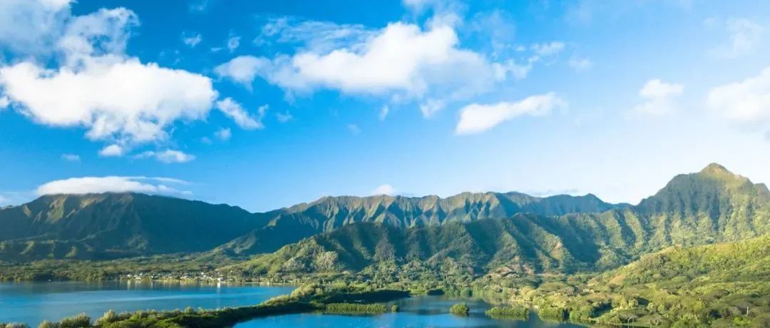 蓝天保卫战一“碳”到底